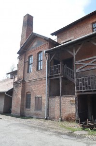 topolivnica istocna strana